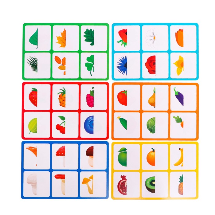 

Развивающая игра IQ-лото «Растительный мир»