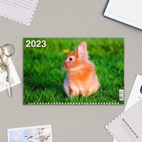 

Календарь квартальный, трио "Символ Года - 12" 2023 год, 31х69см