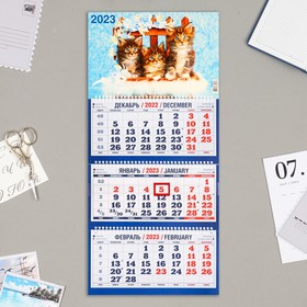 Календарь квартальный, трио 'Котята - 1' 2023 год, 31х69см Ош