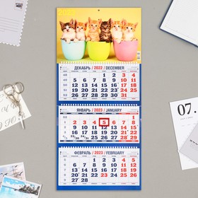Календарь квартальный, трио 'Котята - 2' 2023 год, 31х69см Ош