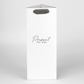Пакет под бутылку Present, 13 × 32 × 11,3 см