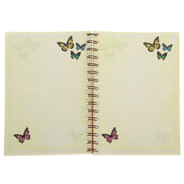 Ежедневник на гребне "Полёт мысли", твёрдая обложка, А5, 80 листов