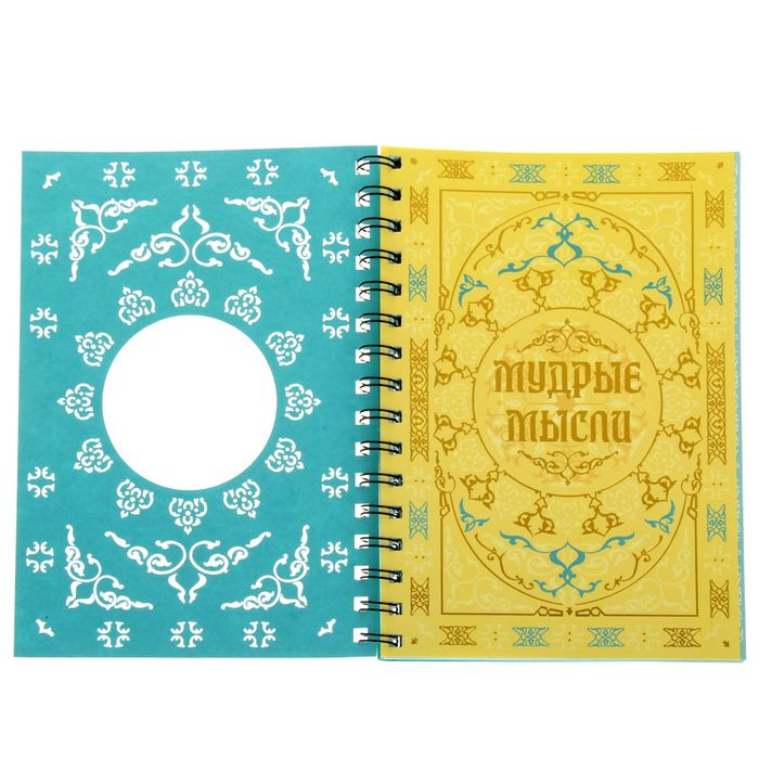 Ежедневник на гребне "Мудрые мысли", твёрдая обложка, А5, 80 листов