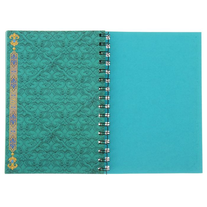 Ежедневник на гребне "Мудрые мысли", твёрдая обложка, А5, 80 листов