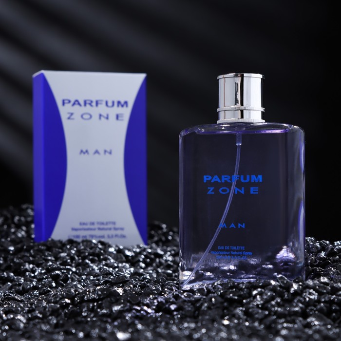 Туалетная вода мужская PARFUM ZONE, 100 мл туалетная вода мужская today parfum colour essences cool ice 100 мл today parfum 9148597