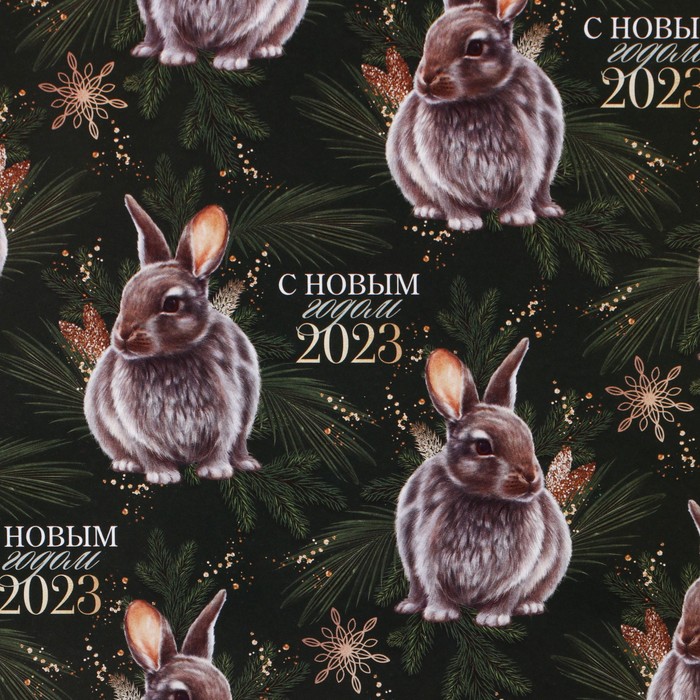 

Бумага упаковочная глянцевая «2023», 70 х 100 см