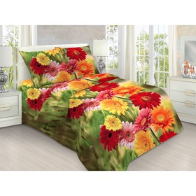 

КПБ 1,5 сп, размер 150x215 см, 150x215 см, 70x70 см-2 шт 1727