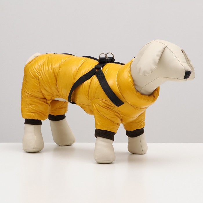 Комбинезон для собак  со шлейкой "Моден",  размер 8 (ДС 23, ОГ 30, ОШ 22 см), жёлтый
