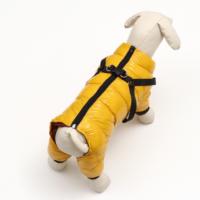 Комбинезон для собак  со шлейкой "Моден",  размер 12 (ДС 28, ОГ 38, ОШ 27 см), жёлтый
