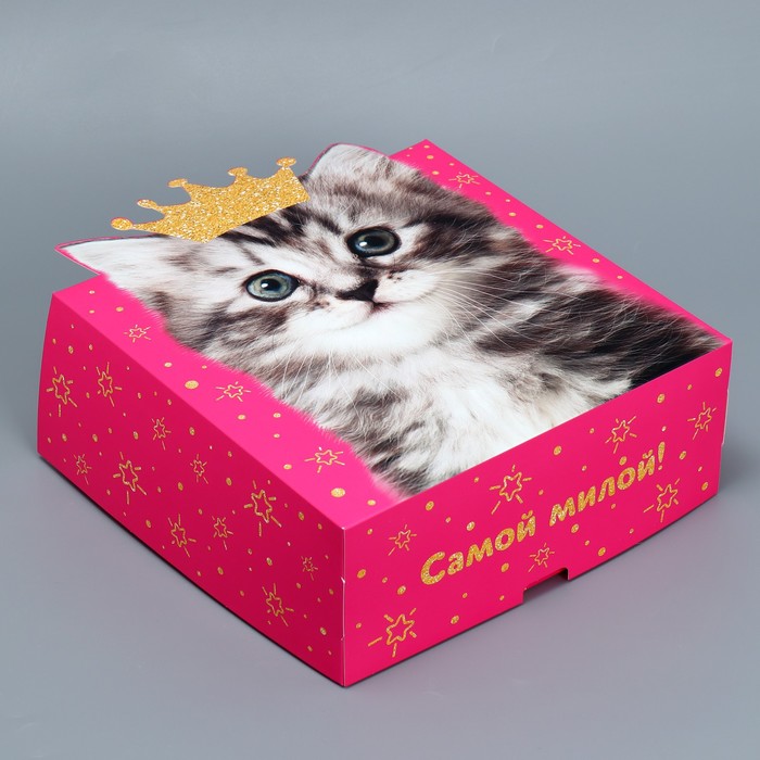 Коробка подарочная складная, упаковка, «Котик», 25 х 25 х 10 см