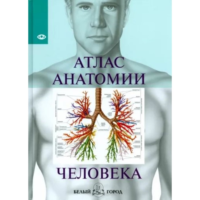 новый атлас анатомии человека Атлас анатомии человека