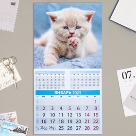 

Календарь перекидной на скрепке "Котята" 2023 год, 28,5х28,5 см