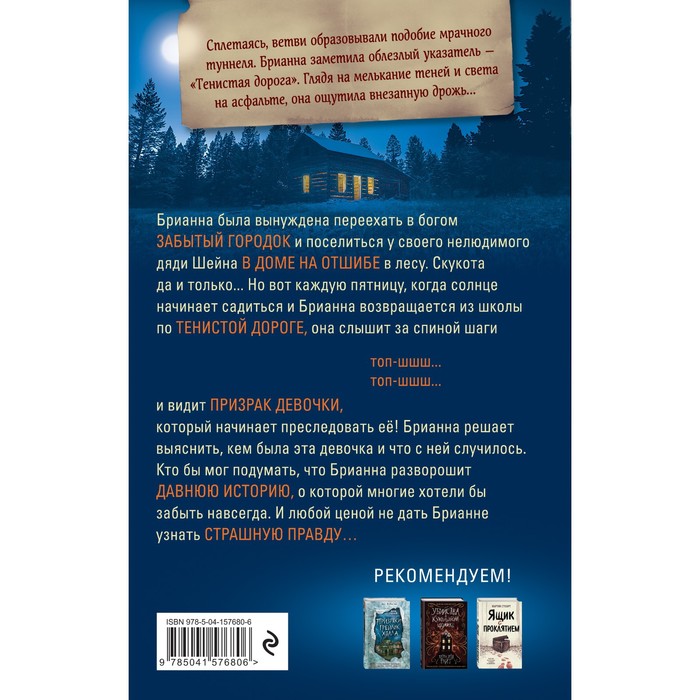 

Призрак в свете фар. Дьюга Л.