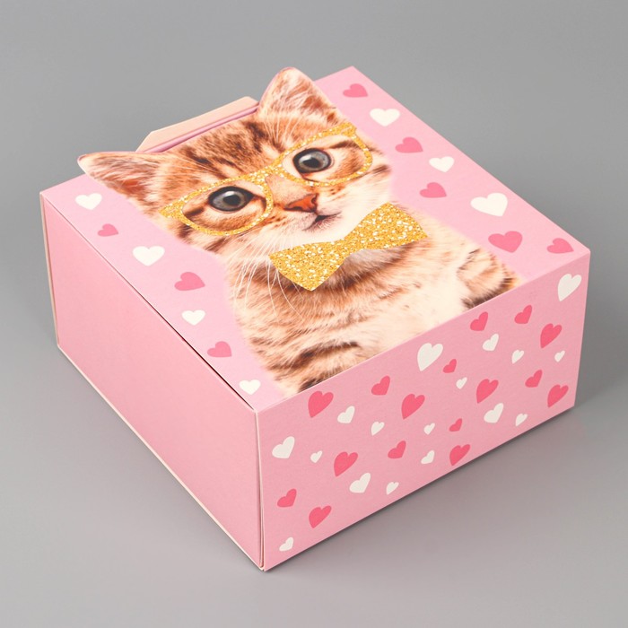 Коробка подарочная складная, упаковка, «Котик», 15 х 15 х 8 см коробка подарочная складная упаковка котик 15 х 15 х 8 см