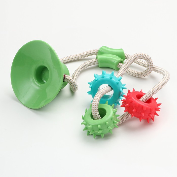 фото Игрушка для собак "кольца с шипами на присоске", 40 см, зелёная/голубая/красная пижон