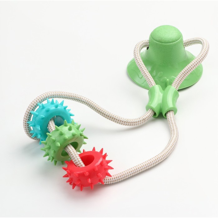 Игрушка для собак "Кольца с шипами на присоске", 40 см, зелёная/голубая/красная