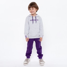 

Костюм детский (толстовка, брюки) Adidas, цвет серый/фиолетовый, рост 92 см (2 года)