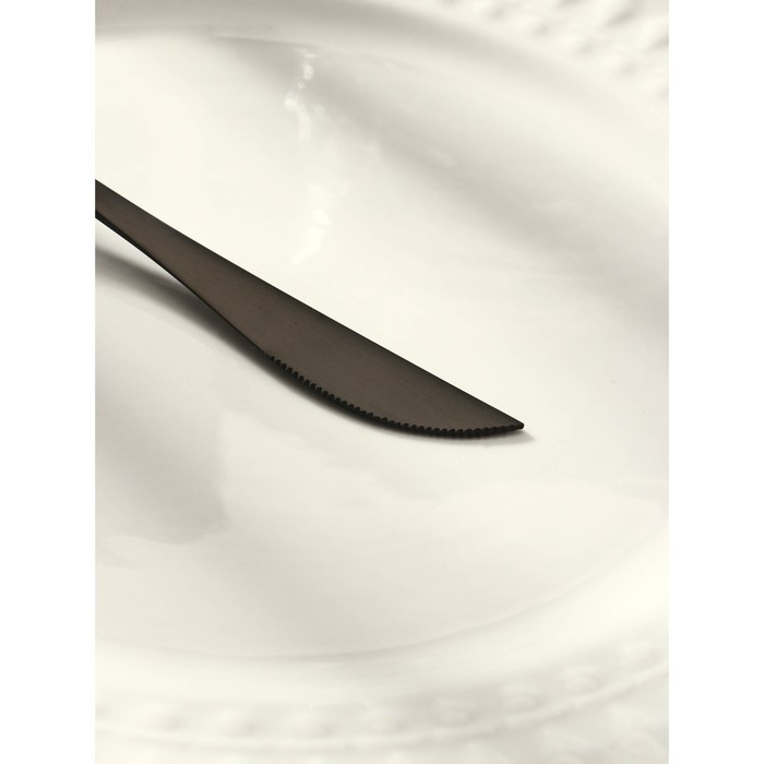 Нож столовый Magistro «Фолк», h=22 см, цвет чёрный