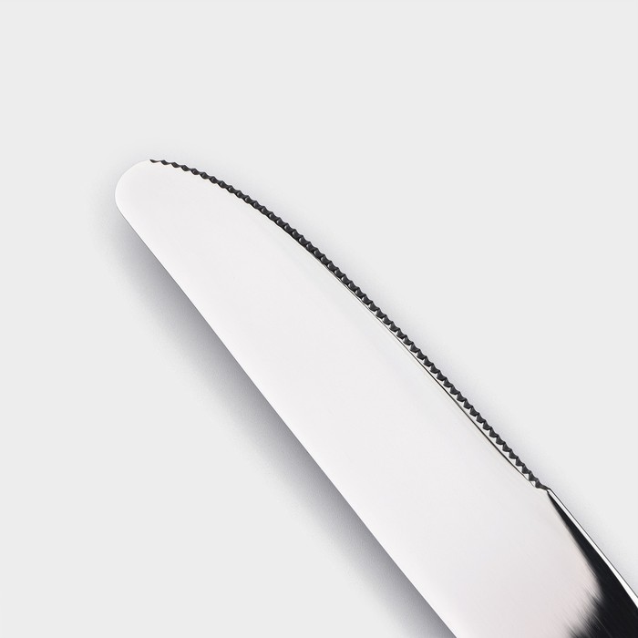 Нож столовый Magistro «Виконт», h=24 см, цвет серебряный