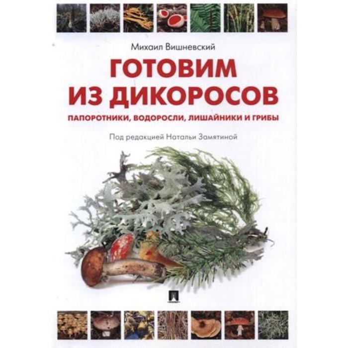 

Готовим из дикоросов. Папоротники, водоросли, лишайники и грибы. Вишневский М.