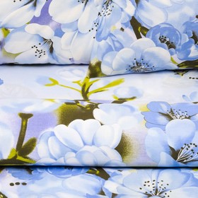 

Постельное бельё 2 сп. «Василиса» Японское утро, 175х215 см, 200х220 см, 70х70 см - 2 шт.