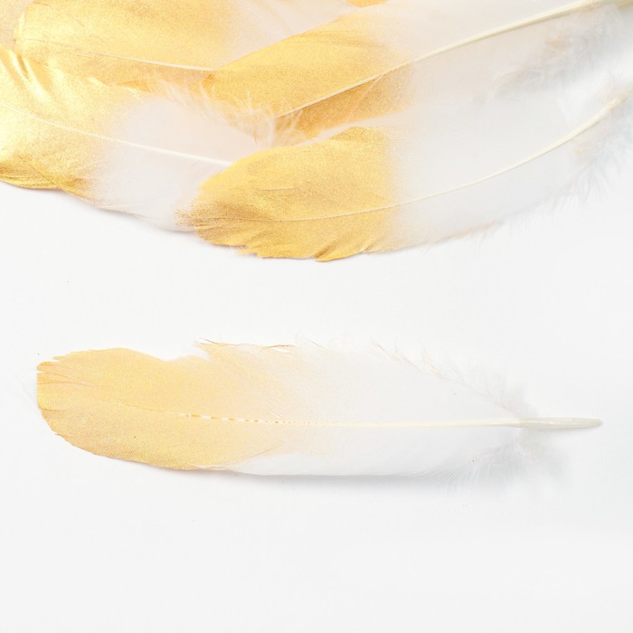 Перья  для декора, золото , частичная окраска 13-15см    10 шт