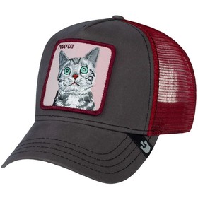 

Бейсболка женская GOORIN BROTHERS Animal Farm Whiskers (91-575-14-00)