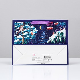 

Пакет подарочный "Ночная вечеринка" , 32 х 26 х 12 см