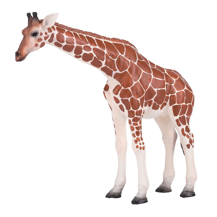 Фигурка Konik «Жираф, самка» фигурка животного safari ltd белохвостый олень самка