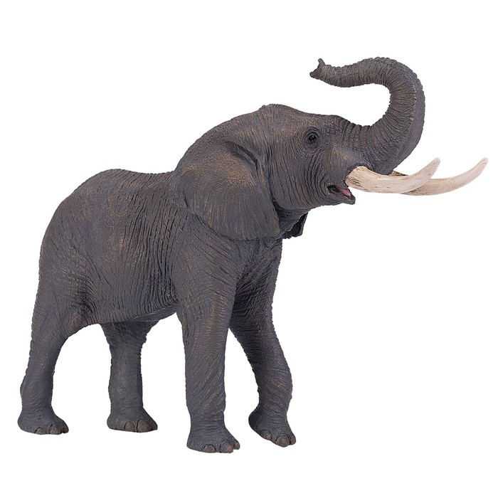 Фигурка Konik «Африканский слон, самец» фигурка konik африканский слон самец