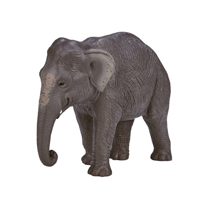 Фигурка Konik «Азиатский слон» schleich статуэтка азиатский слон