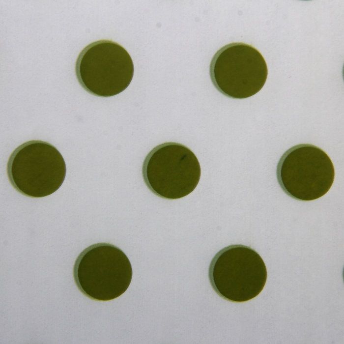 Пленка матовая "Зеленый горох", белый, 60 х 60 см