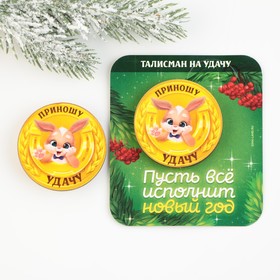 Новогодний значок «Талисман на удачу», 4,2 х 4,2 см Ош