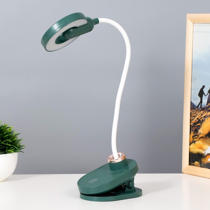 Настольная лампа на прищепке Блум LED 3Вт АКБ USB зеленый 8х12х42,5 см RISALUX