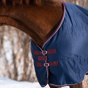 

Попона денниковая Fleece-lined на флисе, размер 155 см, цвет синий / бордо