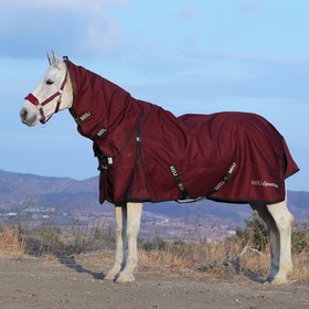 

Попона прогулочная Hong Kong, капор съёмный, размер 165 см, цвет бордо / чёрный