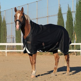 

Попона прогулочная NW Air-Max с высокой холкой, размер 125 см, цвет чёрный