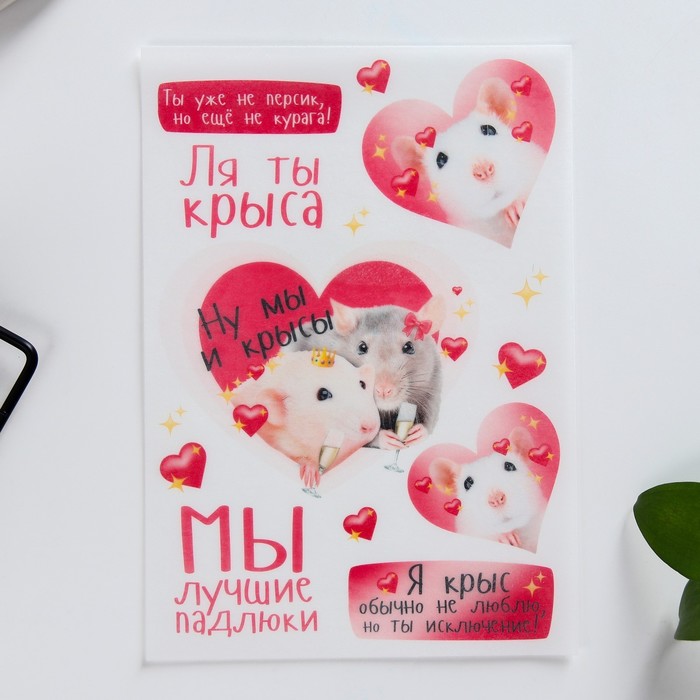 

KONFINETTA Съедобные цветные картинки на вафельной бумаге «Ля ты крыса», 1 лист А5