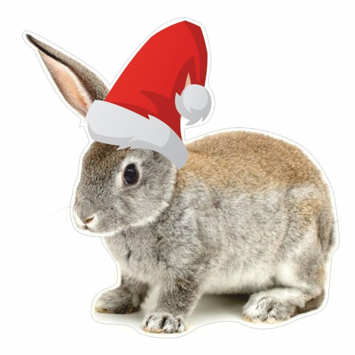 Наклейка автомобильная Кролик в новогодней шапке, 100 х 100 мм, вид 3 наклейка автомобильная кролик в новогодней шапке 250 х 250 мм вид 2