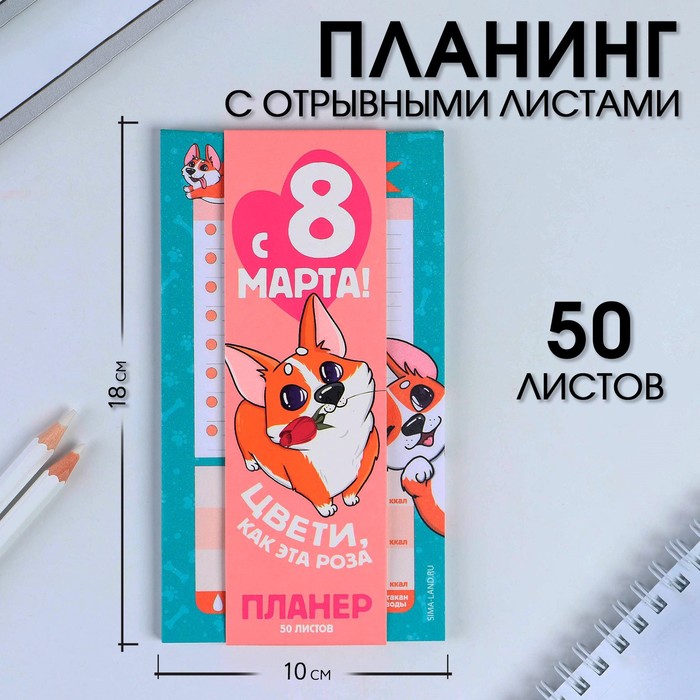 Планер с отрывными листами, 50 л «Корги»