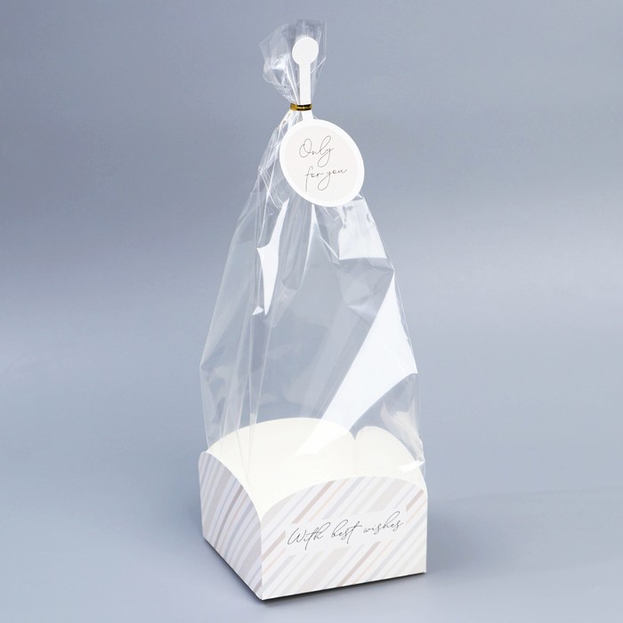 Пакет подарочный с коробкой, упаковка, «С наилучшими пожеланиями», 12 х 12 х 40 см