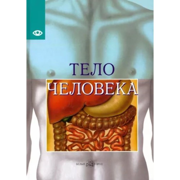 Тело человека. Виге Ж.