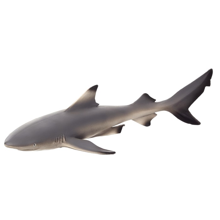 Фигурка Konik «Чернопёрая рифовая акула» рифовая акула фигурка морского животного