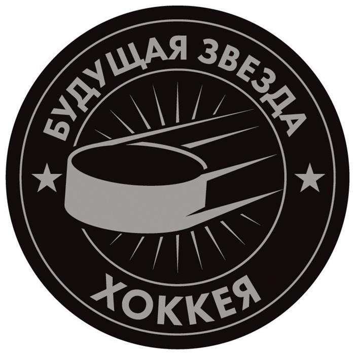 

Шайба хоккейная Winter Star «Будущая звезда», детская, d=6 см