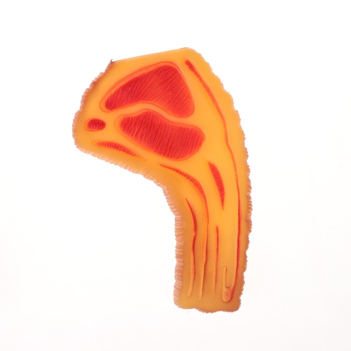 Игрушка пищащая "Аппетитный кусок", 16 х 9,5 см