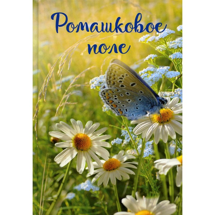 

Записки постороннего. Книга 1. Ромашковое поле. Бузлуков П.С.