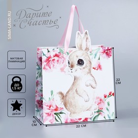 Пакет подарочный Rabbit, 22 × 22 × 10 см