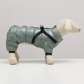 

Комбинезон для собак со шлейкой "Моден", размер 14 (ДС 32, ОГ 42, ОШ 31 см), серый 798072