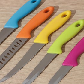 Набор кухонных ножейна подставке, 5 шт, лезвие 8,5 см, 11 см, 11,5 см, 12,5 см, цвет МИКС от Сима-ленд