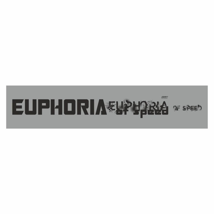 Полоса на лобовое стекло EUPHORIA, серебро, 1220 х 270 мм